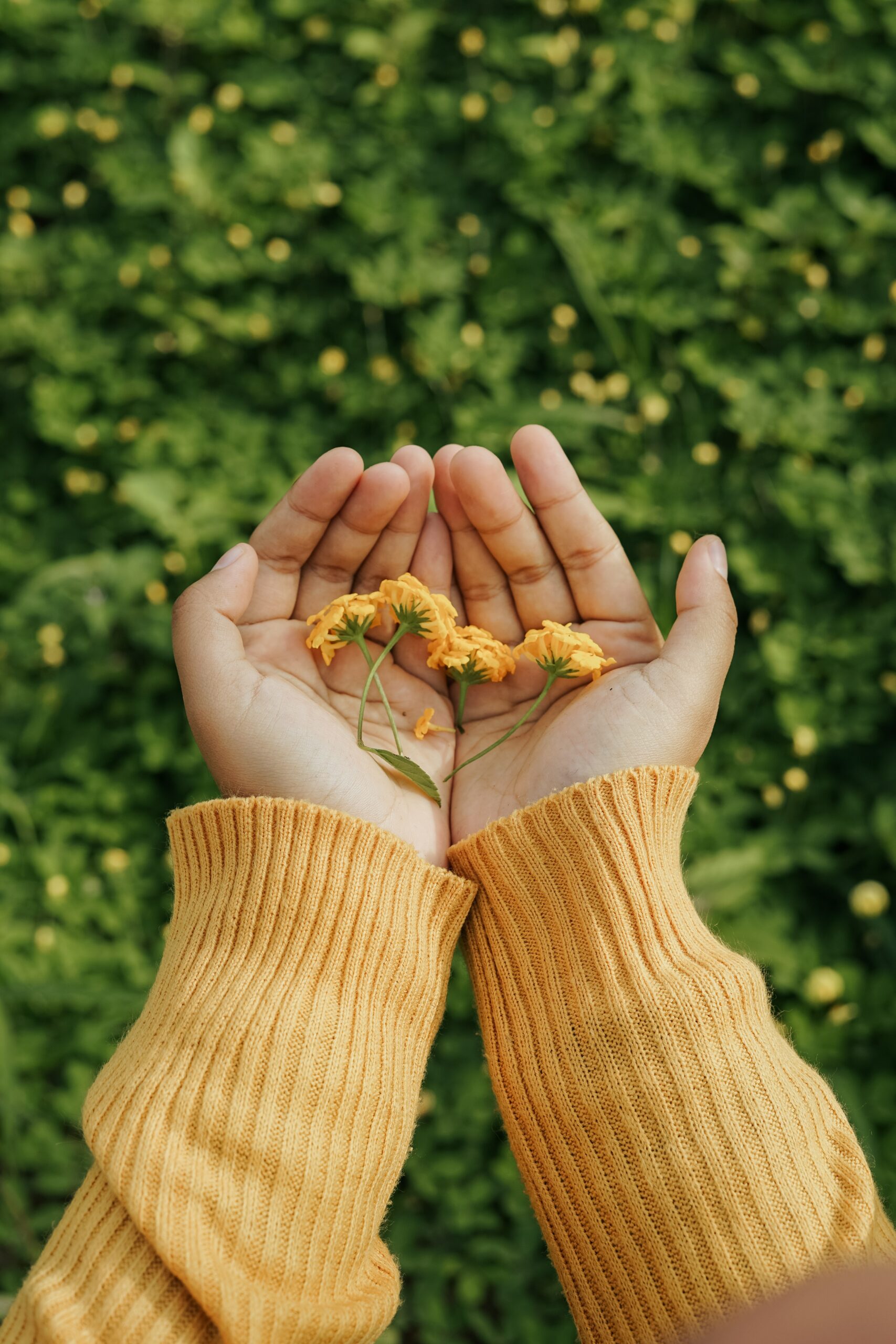 pexels-yusron-el-jihan-7944838